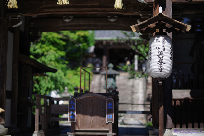 京都 西山 善峯寺の紫陽花 2020 ／ ペンタックス HD PENTAX-D FA